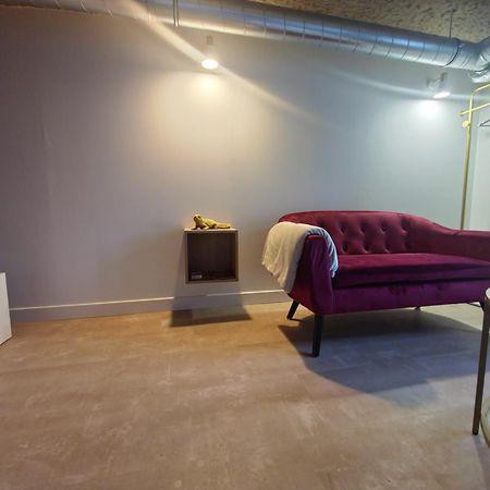 Le Cocon Troglodyte Apartment Saint-Étienne-de-Chigny Екстериор снимка