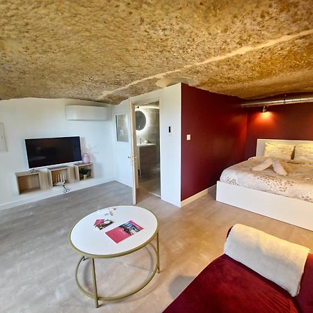 Le Cocon Troglodyte Apartment Saint-Étienne-de-Chigny Екстериор снимка