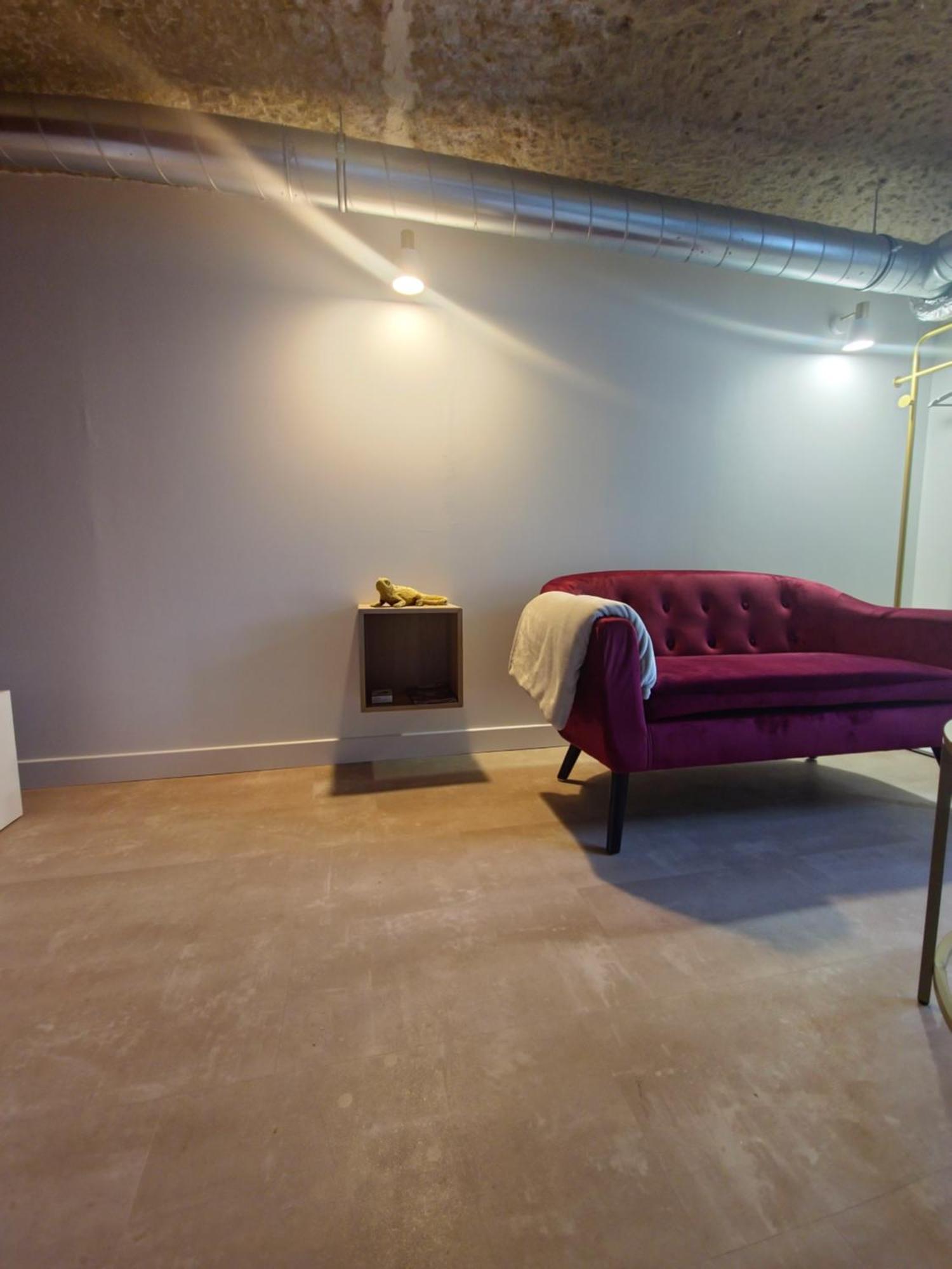 Le Cocon Troglodyte Apartment Saint-Étienne-de-Chigny Екстериор снимка