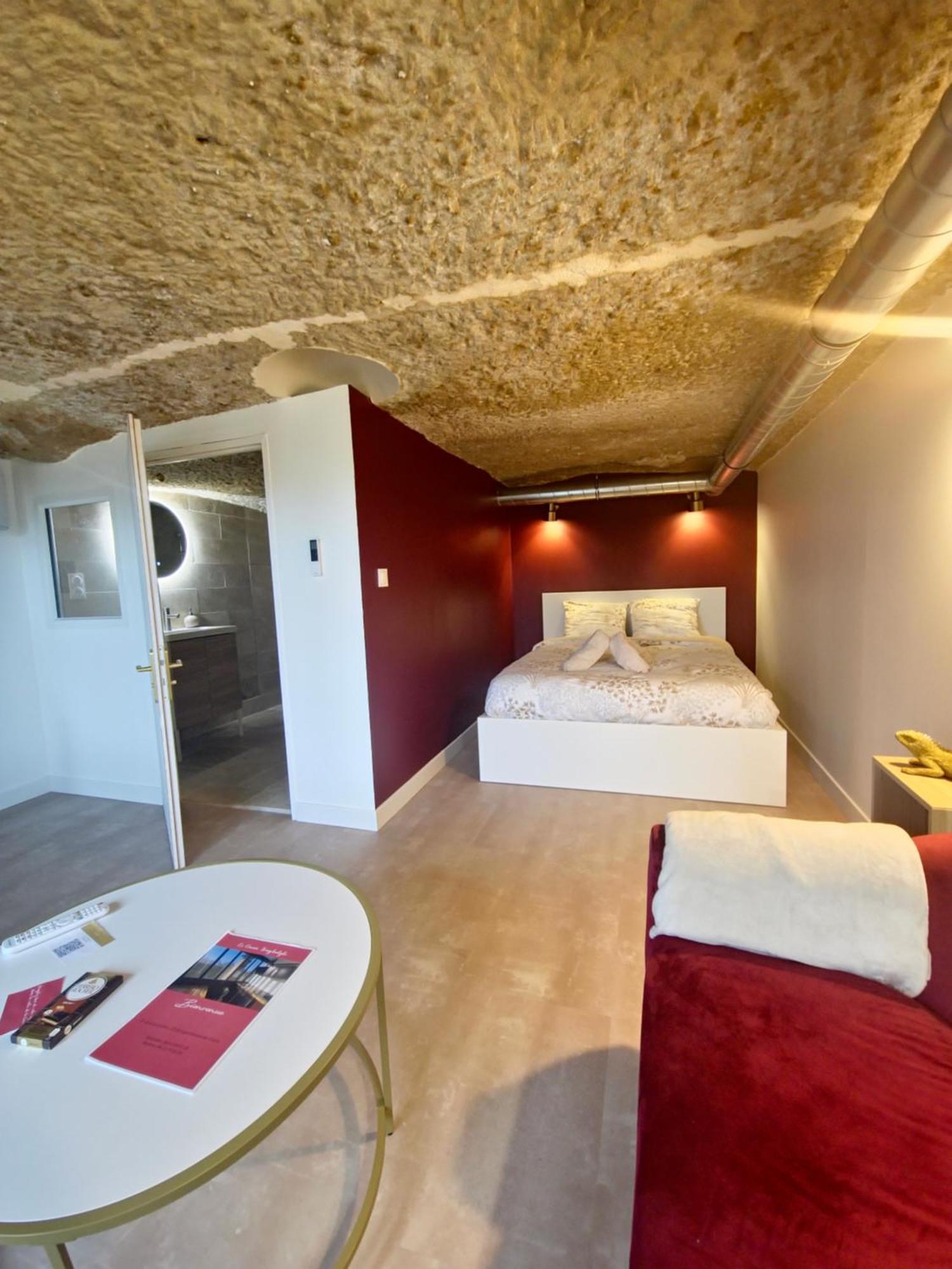 Le Cocon Troglodyte Apartment Saint-Étienne-de-Chigny Екстериор снимка